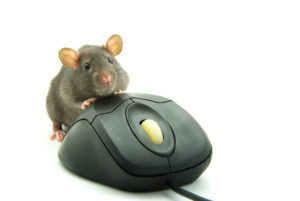 Особенности и отличия современных компьютерных мышей